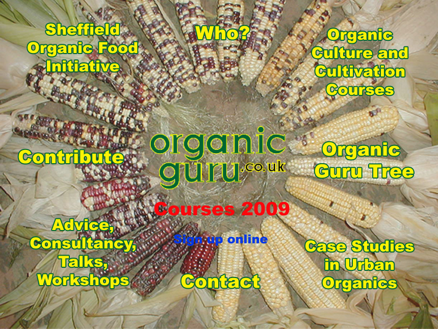 Organic Guru index - clickable picture